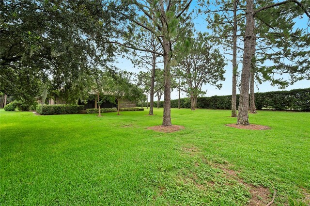 105 Woden Way, Winter Haven, FL 33884 - photo 44