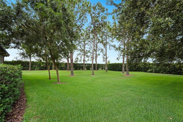 105 Woden Way, Winter Haven, FL 33884 - photo 45