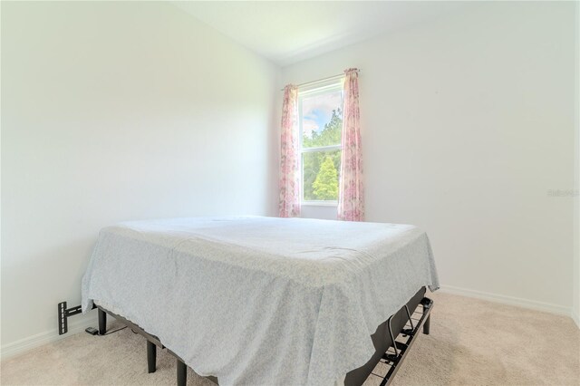 6300 Dolostone Dr, Lakeland, FL 33811 - photo 12