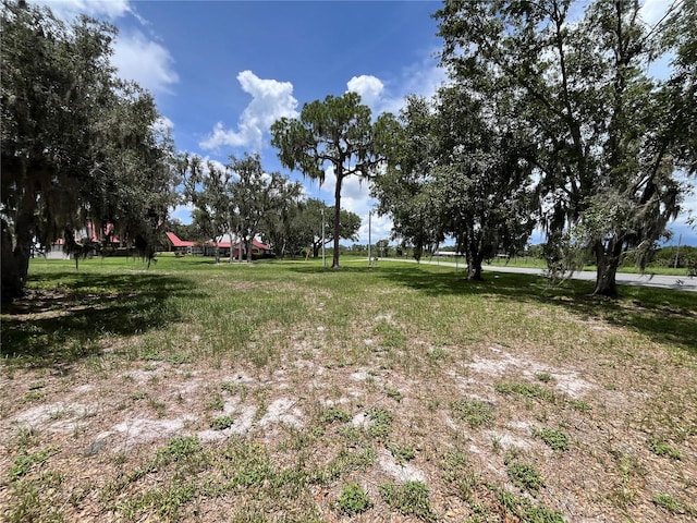 Lake Reedy S, Frostproof, FL 33843 - photo 11