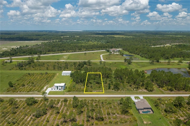 4591 Wrightbros Rd, Frostproof, FL 33843