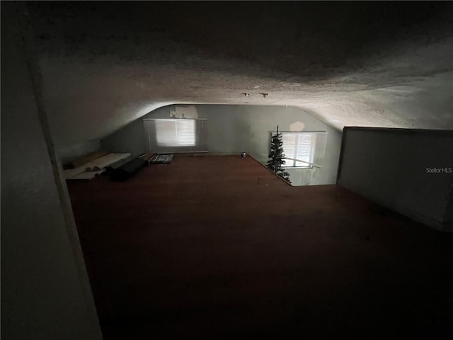 1805 S Lake Reedy Blvd, Frostproof, FL 33843 - additional living space with lofted ceiling