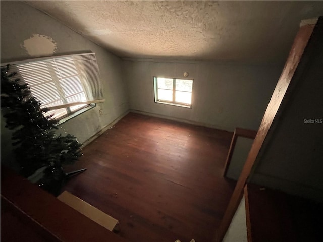 1805 S Lake Reedy Blvd, Frostproof, FL 33843 - spare room with a textured ceiling, wood finished floors, and vaulted ceiling