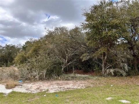 1331 Congo Dr, Poinciana, FL 34759 - photo 2