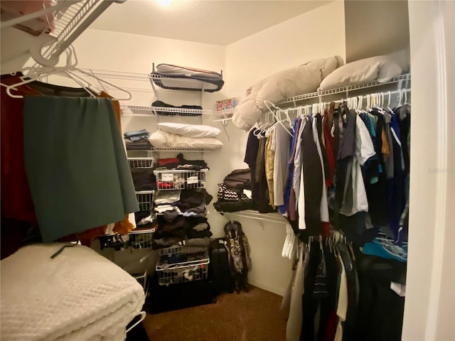1790 Turtle Rock Dr, Lakeland, FL 33803 - spacious closet featuring carpet
