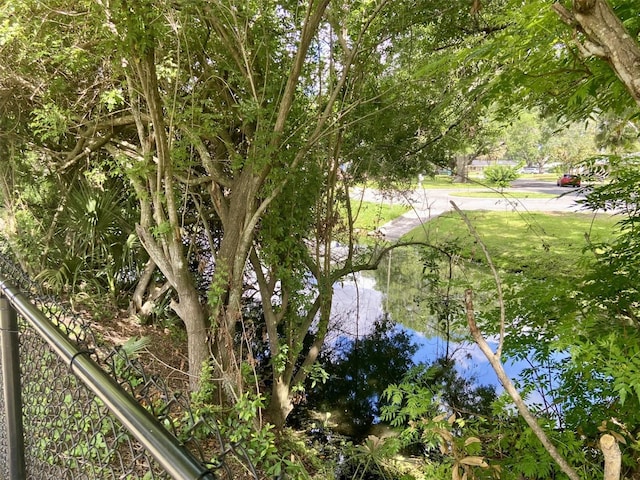 1790 Turtle Rock Dr, Lakeland, FL 33803 - view of yard