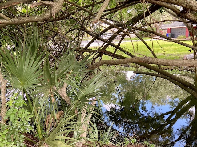 1790 Turtle Rock Dr, Lakeland, FL 33803 - exterior view