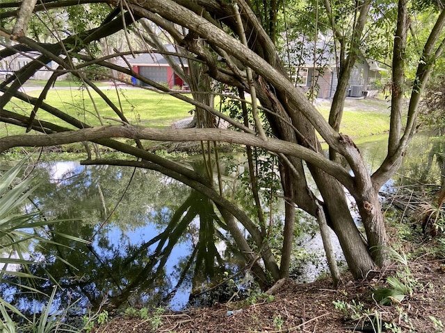 1790 Turtle Rock Dr, Lakeland, FL 33803 - view of local wilderness