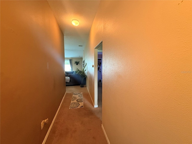 13443 Graham Yarden Dr, Riverview, FL 33579 - hall with light colored carpet and baseboards