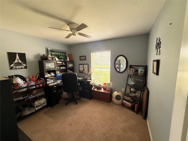 13443 Graham Yarden Dr, Riverview, FL 33579 - office with carpet floors, ceiling fan, and a textured ceiling