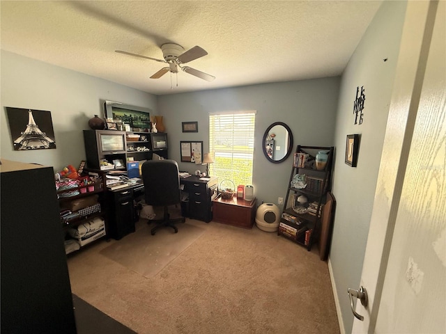 13443 Graham Yarden Dr, Riverview, FL 33579 - office space with light carpet, a ceiling fan, and a textured ceiling