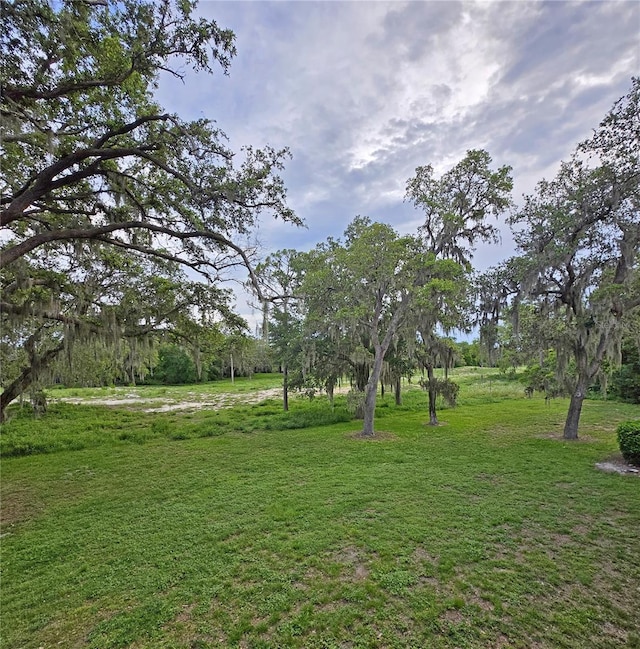 816 Pinewood Ct Unit 3126, Haines City, FL 33844 - view of grassy yard