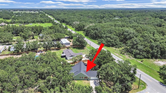 106 Corbett Rd, Lithia, FL 33547 - drone / aerial view of a heavily wooded area
