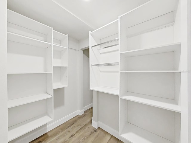 106 Corbett Rd, Lithia, FL 33547 - spacious closet featuring light wood-type flooring