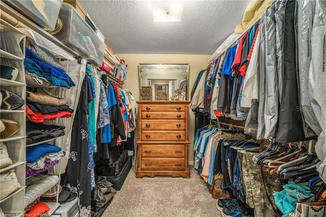 479 State Road 64 E, Zolfo Springs, FL 33890 - spacious closet with carpet floors