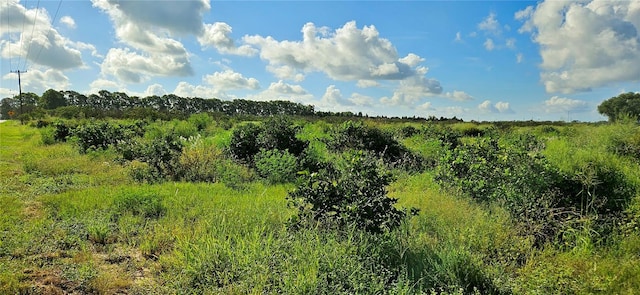 Candle Rd, Lake Wales, FL 33859 - photo 4