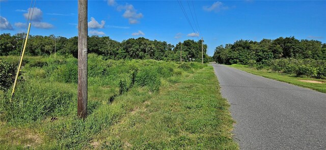 Candle Rd, Lake Wales, FL 33859 - photo 5