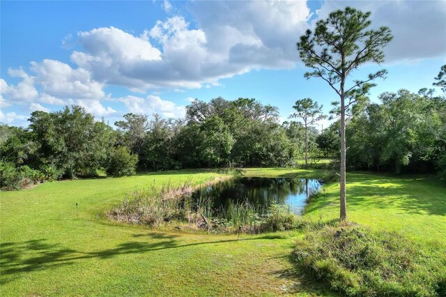 119 Mini Ranch Rd, Sebring, FL 33870 - photo 48