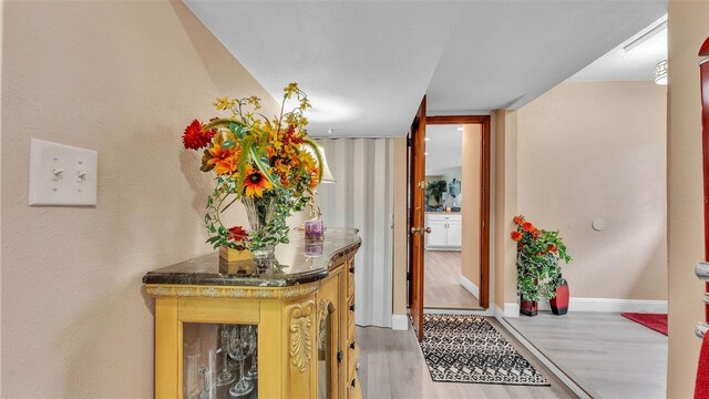 1125 Rolling Woods Ln, Lakeland, FL 33813 - photo 37