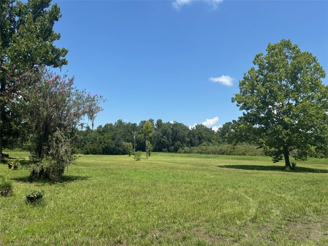 149 E Mccormick Rd, East Palatka, FL 32131 - photo 5