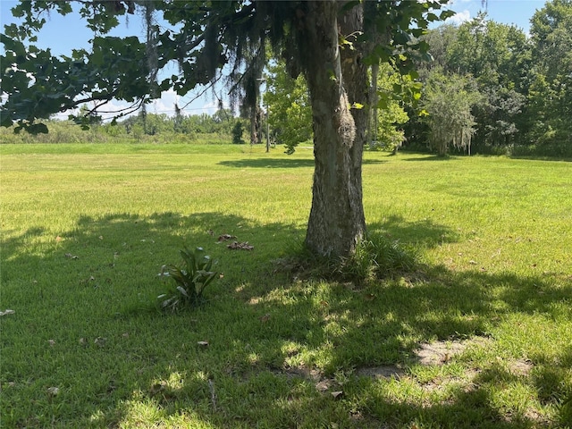 149 E Mccormick Rd, East Palatka, FL 32131 - photo 6