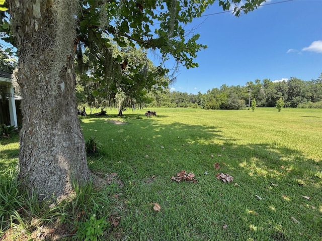 149 E Mccormick Rd, East Palatka, FL 32131 - photo 7