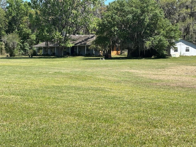 149 E Mccormick Rd, East Palatka, FL 32131 - photo 33
