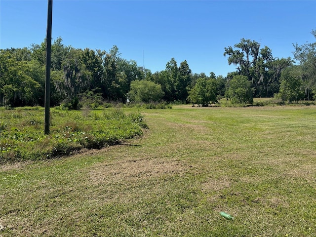 149 E Mccormick Rd, East Palatka, FL 32131 - photo 10