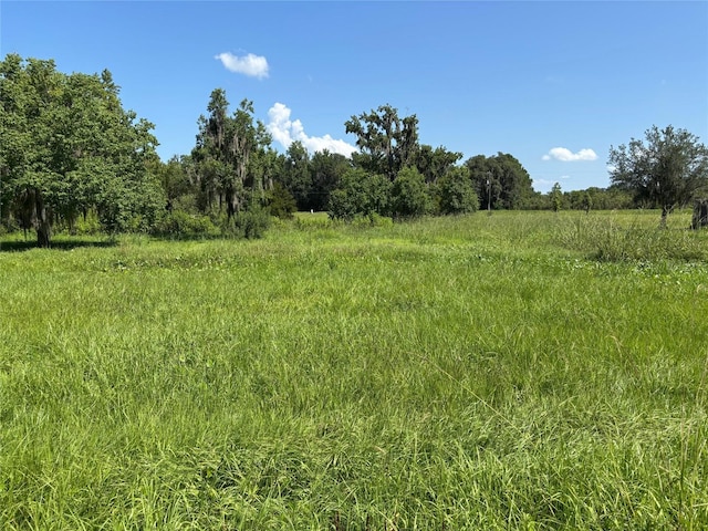 149 E Mccormick Rd, East Palatka, FL 32131 - photo 12