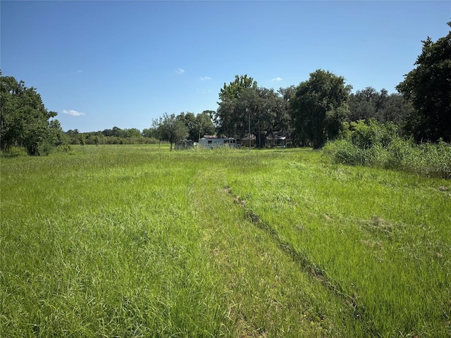 149 E Mccormick Rd, East Palatka, FL 32131 - photo 14