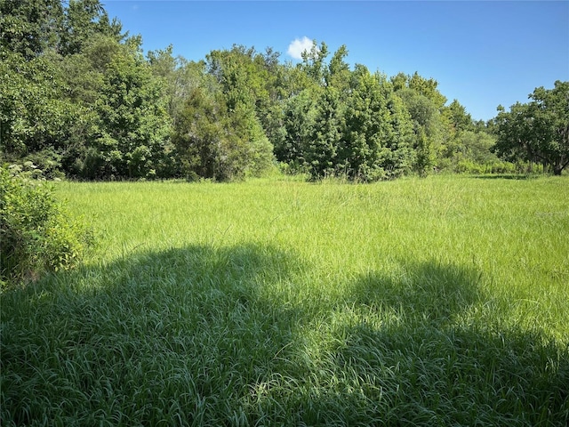 149 E Mccormick Rd, East Palatka, FL 32131 - photo 15