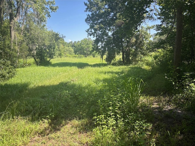 149 E Mccormick Rd, East Palatka, FL 32131 - photo 16