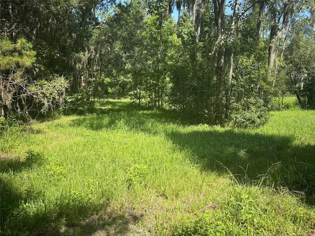 149 E Mccormick Rd, East Palatka, FL 32131 - photo 25