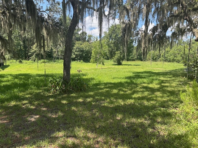 149 E Mccormick Rd, East Palatka, FL 32131 - photo 27
