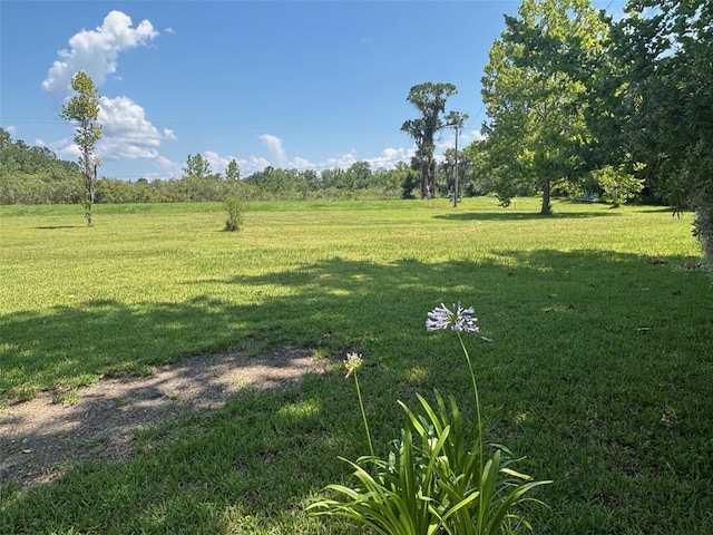 149 E Mccormick Rd, East Palatka, FL 32131 - photo 28