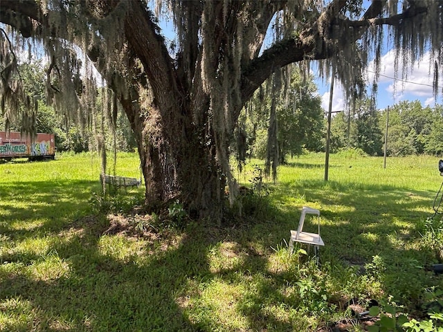 149 E Mccormick Rd, East Palatka, FL 32131 - photo 29