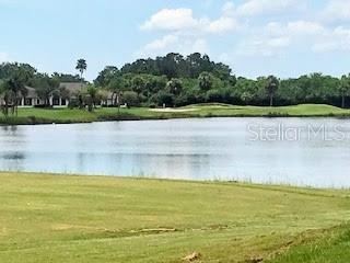 2538 Crown Ridge Cir, Kissimmee, FL 34744 - photo 22