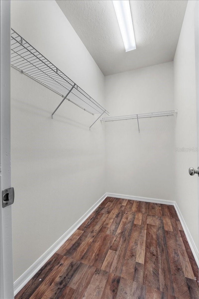 8720 Micmac Ct, Polk City, FL 33868 - spacious closet featuring dark wood-type flooring