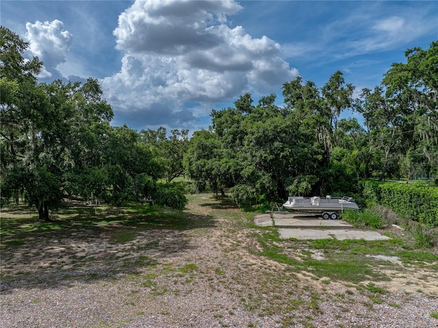 914 Mangham Rd, Babson Park, FL 33827 - view of yard with a wooded view