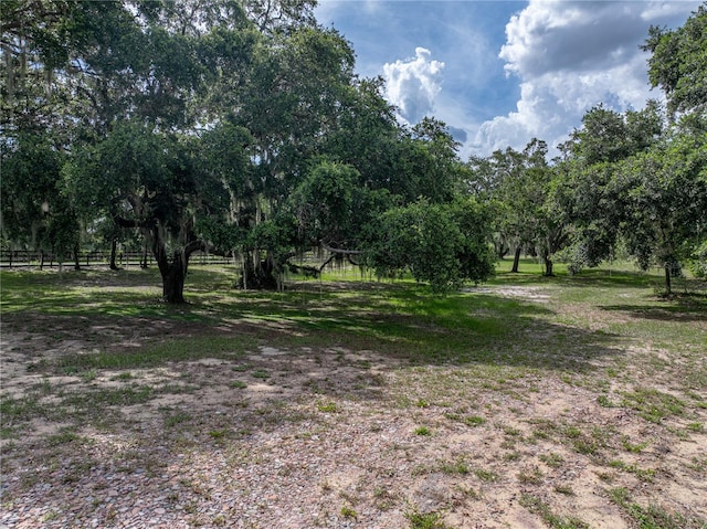 914 Mangham Rd, Babson Park, FL 33827 - view of yard