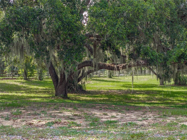 914 Mangham Rd, Babson Park, FL 33827 - view of green lawn