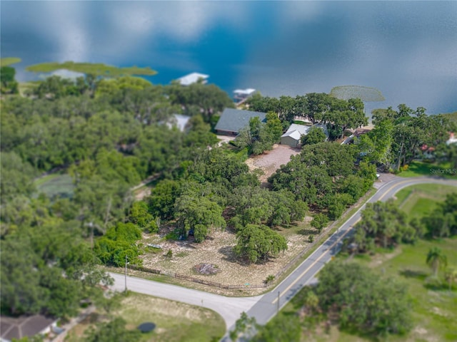 914 Mangham Rd, Babson Park, FL 33827 - view of property location featuring a tree filled landscape