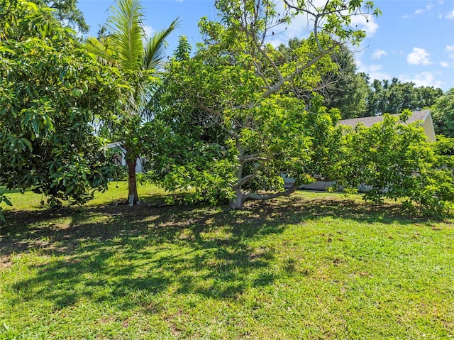 2800 Sunset Dr NW, Winter Haven, FL 33881 - photo 15