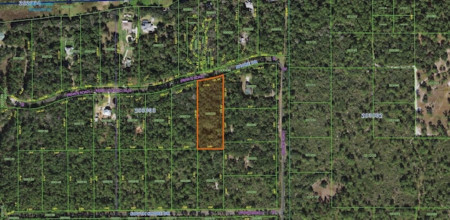 11137 Shore Dr, Lake Wales, FL 33898 - photo 2