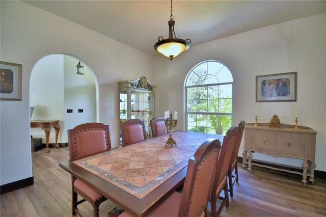 10708 Belo Horizonte Ave, Clermont, FL 34711 - dining room with wood finished floors and arched walkways