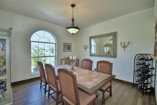 10708 Belo Horizonte Ave, Clermont, FL 34711 - dining area featuring wood-type flooring