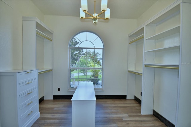 10708 Belo Horizonte Ave, Clermont, FL 34711 - walk in closet featuring a chandelier and wood finished floors