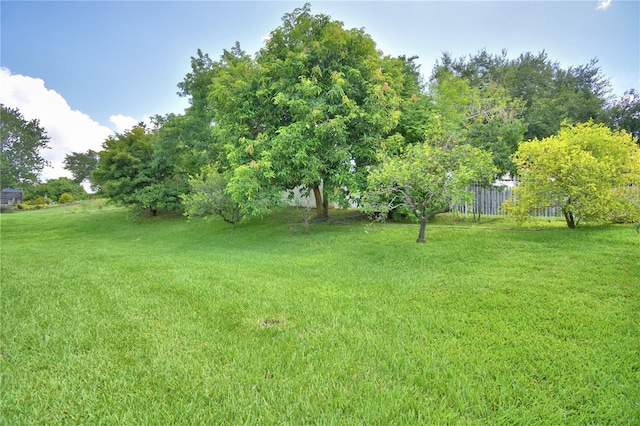 10708 Belo Horizonte Ave, Clermont, FL 34711 - view of green lawn