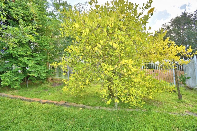 10708 Belo Horizonte Ave, Clermont, FL 34711 - view of yard