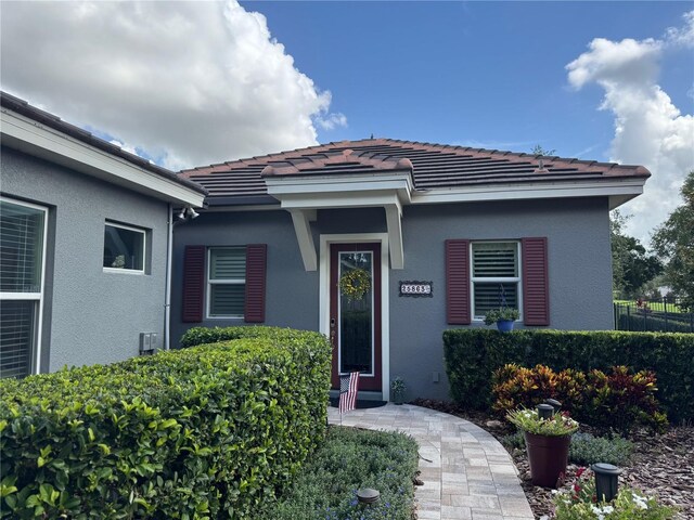 25863 Crossings Bluff Ln, Sorrento, FL 32776 - property entrance featuring stucco siding and a tiled roof